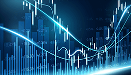 1 on 1 private tutoring