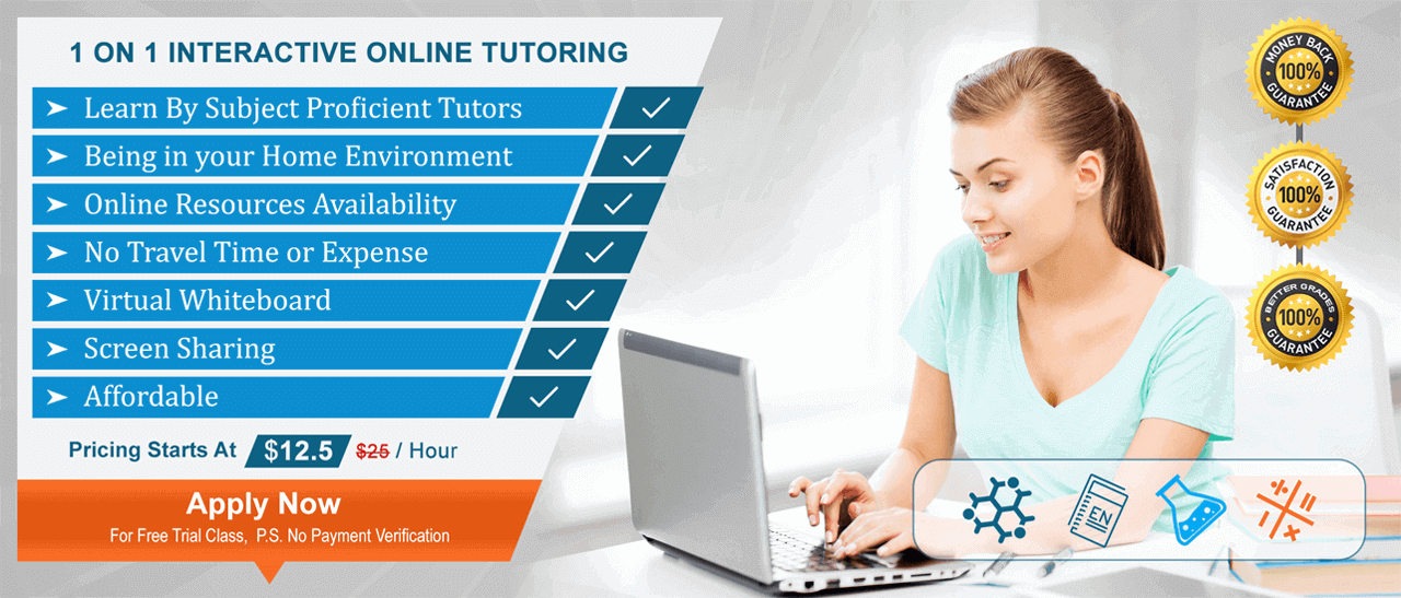 Online Tutor